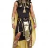 Dreamgirl King Of Egypt Costume
